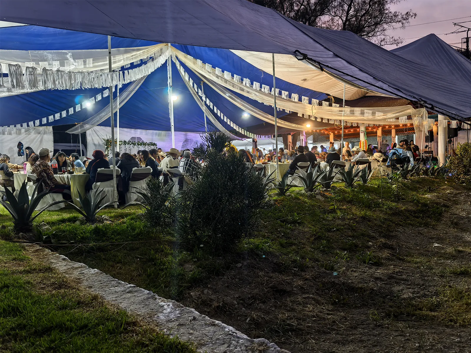 Galería Quetzaltlán 10